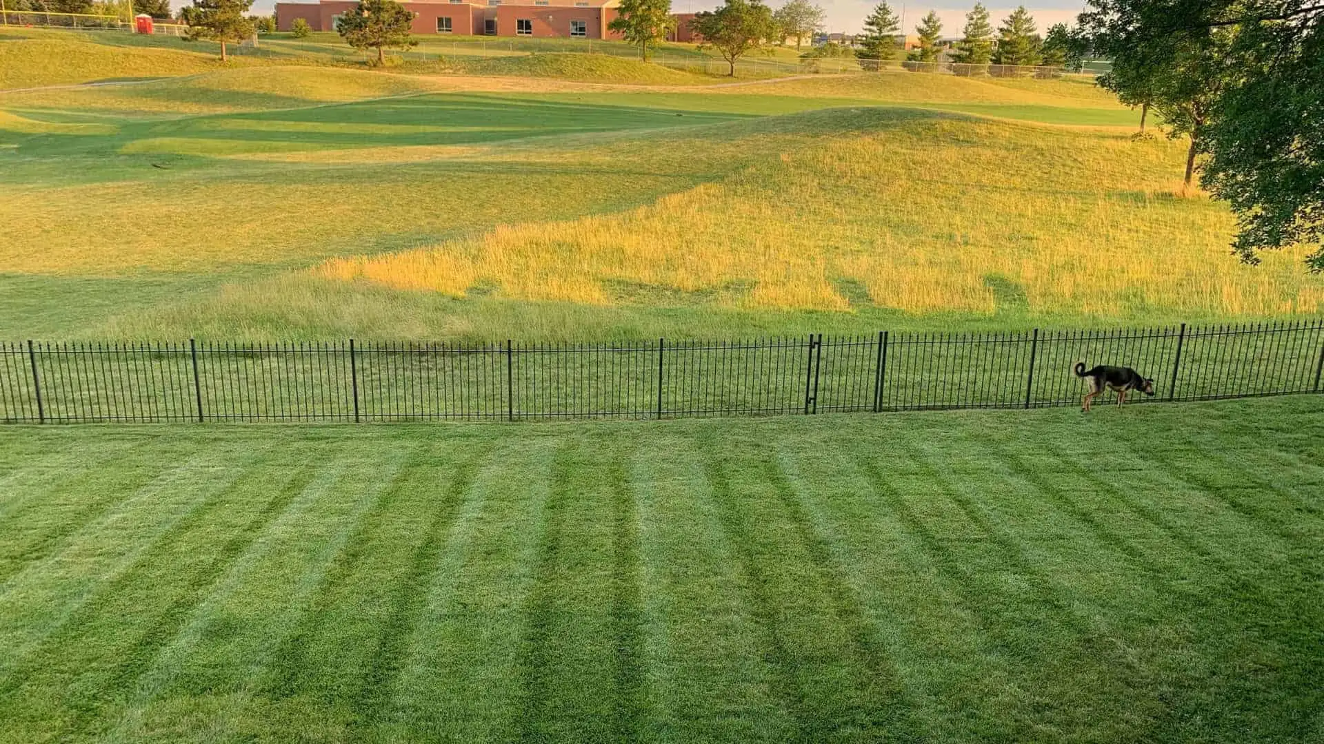 Back Yard Against Field Freshly Mowed