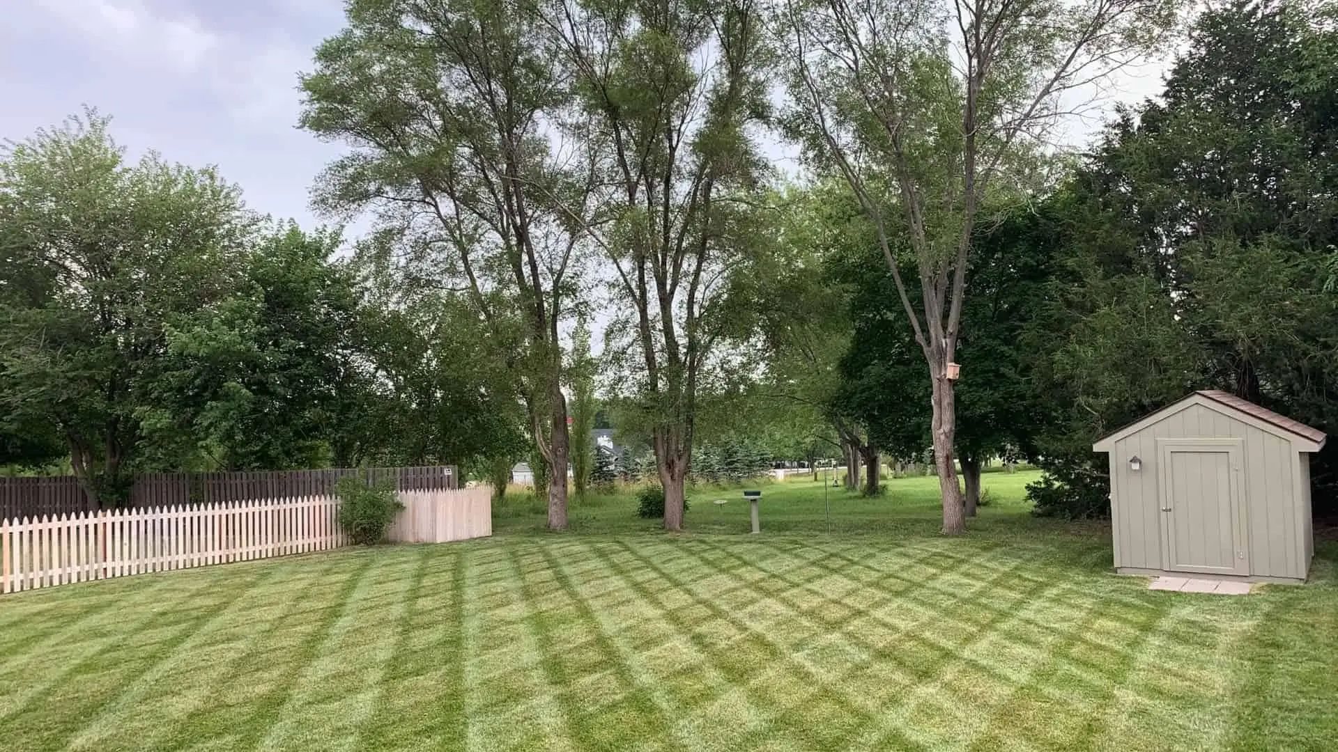 Cross Stripped Mowing Lines