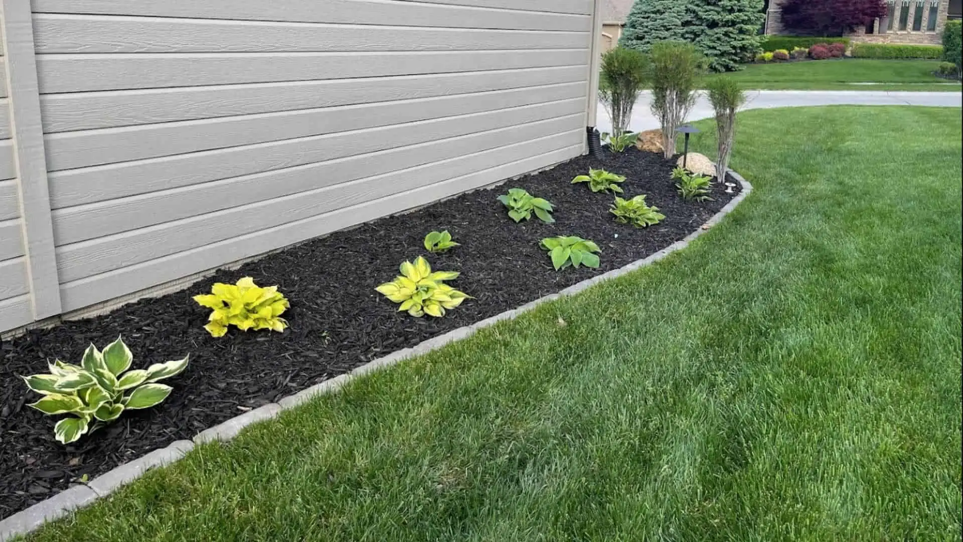 Dark Mulch And Plants On Side Of Home