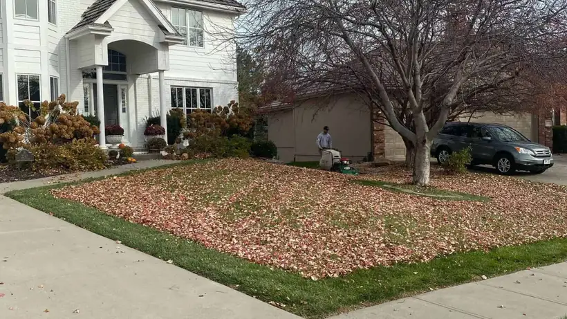 Fall Leaves Cleanup Before